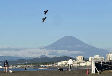 Fenomena Langka, Gunung Fuji Masih Tak Bersalju 