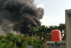 Kebakaran Lahan di Gudang Bus IMI Akibat Putung Rokok, Bukan Gudang Minyak