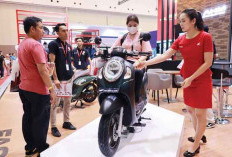 Model Terbaru Honda Scoopy Jadi Favorit