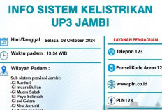 Gangguan Listrik di Jambi, Ribuan Pelanggan PLN Terdampak Pemadaman Besar-besaran