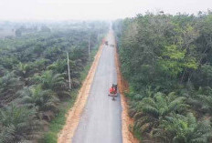 Progres Jalan IJD Simpang Tangkit Lebihi Target