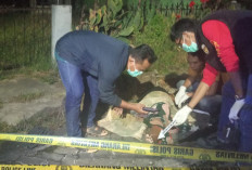 Warga Temukan Mayat Tanpa Identitas di Jalan Sultan Agung Jambi