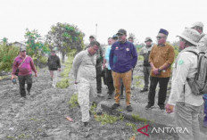 Tanjab Barat Genjot Pembangunan Jalan, Dorong Konektivitas dan Pertumbuhan Ekonomi