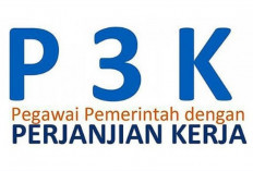 Mei 2024, PPPK Diperkirakan Mulai Aktif Kerja