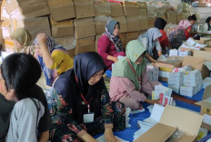 14 Ribu Surat Suara DPD Lampung Nyasar ke Tebo, Kok Bisa?