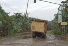 Jalan Inpres di Tanjabtim Belum Selesai