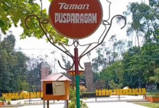 Tahun 2025, Lapangan Semagor Bungo Dipercantik