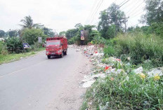 Sehari 2 Truk Fuso