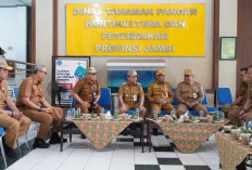 Koordinasikan OPD untuk Program MBG, Satukan Persepsi Lancarkan Swasembada Pangan dan MBG