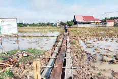 191.750 Meter Irigasi Tersier Dibangun