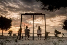 Dari Keindahan Alam Bawah Laut Hingga Mangrove yang Menghijau