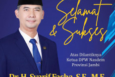 Sy Fasha Resmi Dilantik Sebagai Anggota DPR RI, Ini Profil Singkatnya