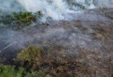 Sasar Lokasi Karhutla Pakai Motor, 2 Petani Diamankan Satgas