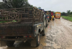 Akibat Dilewati Mobil Bertonase Besar, Jalan ke Jembatan Sabak Rusak