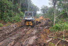 Tersisa 700 Meter Pembukaan Lahan Tol  Ruas Tempino-Simpang Ness