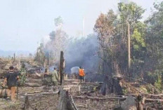 Taman Nasional Bukit Tigapuluh (TNBT) Tebo Terancam Akibat Kebakaran Hutan dan Lahan