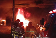 Dua Ruko di Thehok Ludes Terbakar, Damkar Tiba dengan Respon Time 9 Menit