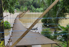 Jembatan Gantung Terbalik, 7 Anak Terjun Bebas 