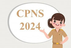 Penerimaan CPNS 2024 Segera Dibuka! Berikut 8 Instansi yang Bisa Untuk Pelamar Ijazah SMA