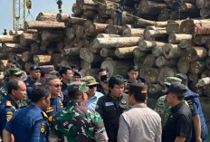 Polisi Kejar Rekanan Pelaku Pencurian Kayu Bulian di Kota Jambi