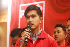 Potensi Duet Ridwan Kamil-Kaesang di Pilgub Jakarta