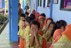 Bunda PAUD Telah Implementasikan Merdeka Belajar 