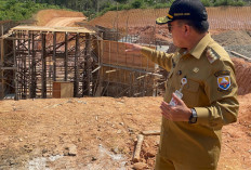 Hanya 2 Perusahaan yang Serius Bangun Jalan Khusus Batu Bara