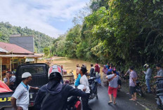 Akibat Banjir Setinggi 1,5 Meter, Jalan Nasional Penghubung Merangin-Kerinci Putus