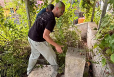 Perjalanan Haru Yannick dan Kenneth Mencari Makam Buyut Mereka di Kota Tua Gorontalo