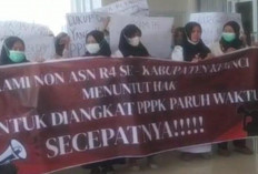 Tenaga Honorer R4 Kerinci Tuntut Diangkat Menjadi PPPK Paruh Waktu