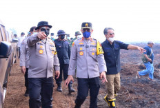 Pemilik Lahan dan 18 Saksi Diperiksa Terkait Kasus Karhutla Muaro Jambi