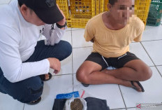 BNN Periksa Terduga Pemesan Ganja Melalui Facebook
