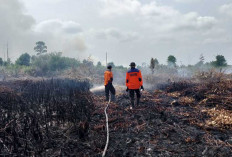  Kebakaran Lahan Gambut Makin Luas