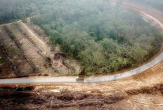 Pembangunan Tol Tempino Simpang Ness Mulai Pembersihan Lahan