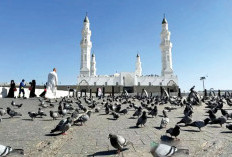 Napak Tilas di Masjid Pertama yang Didirikan Nabi