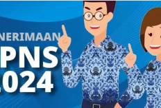 Pendaftaran CPNS 2024 Resmi Dimulai Sore Ini, Berikut Cara Daftar dan Dokumen yang Harus Disiapkan