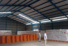 Antisipasi Kemarau, Bulog Sungai Penuh Siapkan 1.500 Ton Beras