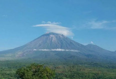 Aktivitas Gunung Semeru Masih Didominasi Gempa Letusan