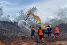 Investigasi Tim Gabungan Terhadap Kebakaran Batubara di Sungai Gelam