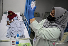 Cegah DBD Pasca Banjir, Kemenkes Ingatkan Bahaya Genangan Air