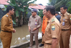 Pj Bupati Raden Najmi Meninjau Lokasi Banjir di Desa Tangkit Lama 