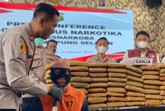 Polisi Gagalkan Penyelundupan 90 Kilogram Ganja di Pelabuhan Bakauheni