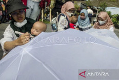 ASI Eksklusif Hingga Enam Bulan Bantu Tekan Angka Stunting