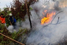 48.63 Lahan di Tanjabbar Terbakar 