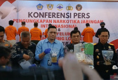 Bea Cukai Soekarno-Hatta Gagalkan Penyelundupan 98 Ribu Benih Lobster ke Kamboja dan Singapura