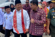 SAH Bangga pada Komitmen Presiden Prabowo Akui Kemerdekaan Palestina di Sidang Umum PBB