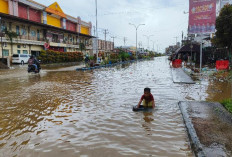 Kota Tungkal Banjir Rob Selutut Orang Dewasa