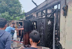 Kebakaran Hebat Hanguskan Rumah dan Bedeng Tiga Pintu, Satu Warga Alami Luka Bakar
