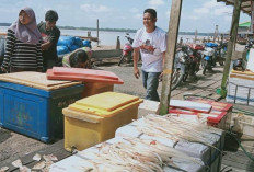 Cuaca Tak Menentu, Tangkapan Nelayan Menurun