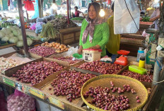 Bawang Meroket dan Cabai Anjlok, Fluktuasi Harga Sembako di Kota Jambi